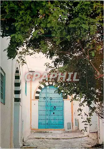 Cartes postales moderne Tunisie