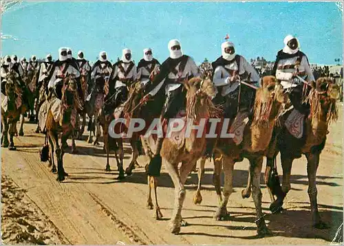 Cartes postales moderne Sud Tunisien:Parade de Meharie