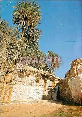 Cartes postales moderne Tunisie Tamerza la Cascade
