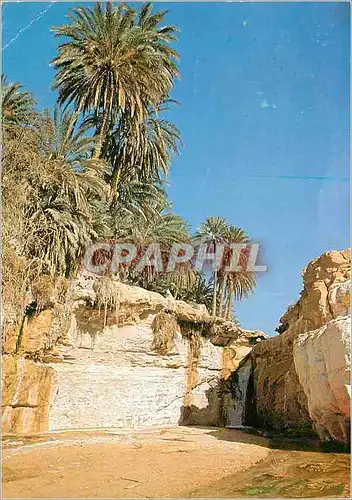 Moderne Karte Tunisie Tamerza la Cascade