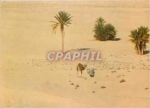 Cartes postales moderne Sud Tunisien: vers le Sahara