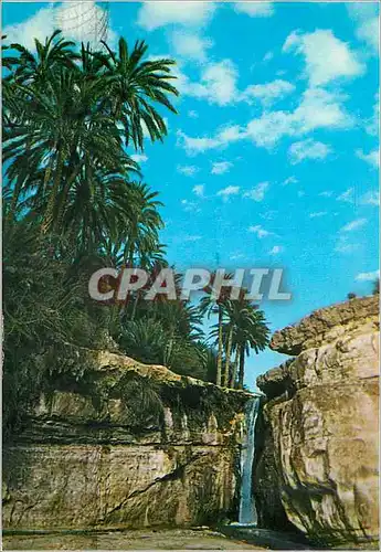 Cartes postales moderne Tomrtez Oasis de Montagne