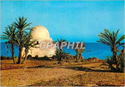 Cartes postales moderne Kerkennah Marabout de Sidi Hadj Ataouli