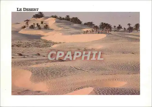 Cartes postales moderne Le Desert Charmes et Douceur de Tunisie