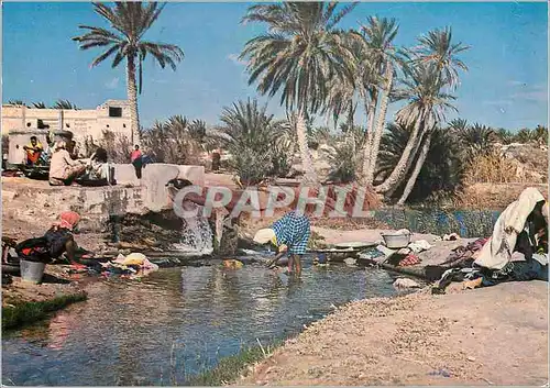 Cartes postales moderne Kebibi Source dans l'Oasis