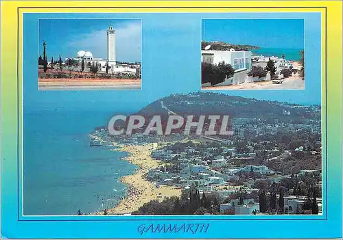 Cartes postales moderne Tunisie Gammarth