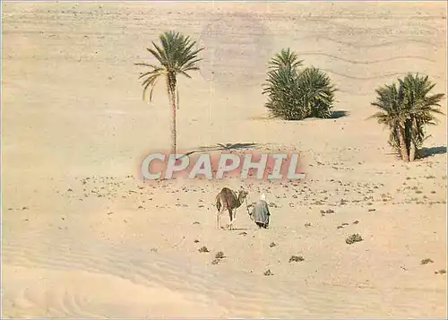 Cartes postales moderne Sud Tunisien Vers le Sahara