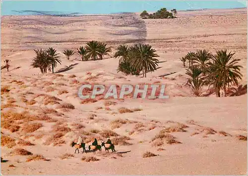 Cartes postales moderne Le Grand Sud