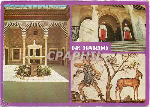 Cartes postales moderne Le Bardo