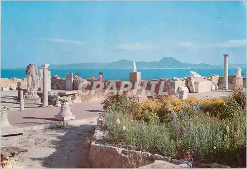 Moderne Karte Carthage l'Antiquarium