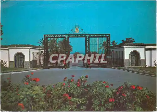 Cartes postales moderne Les Grilles du Palais Presidentiel Carthage Tunisie