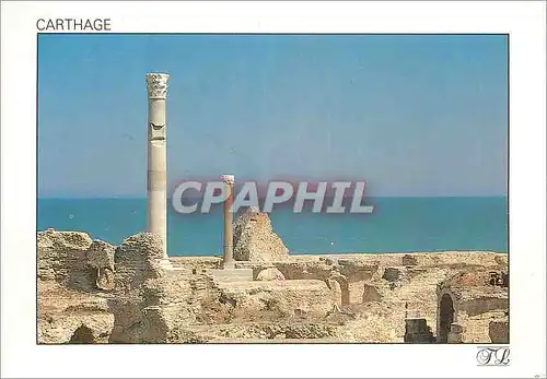 Cartes postales moderne Carthage les Thermes d'Antonin