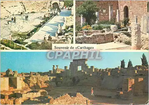 Cartes postales moderne Carthage Tunisie