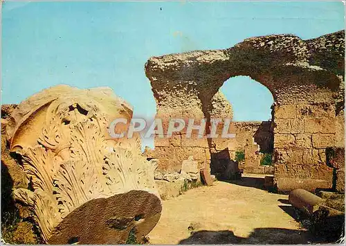 Cartes postales moderne Carthage Tunisie