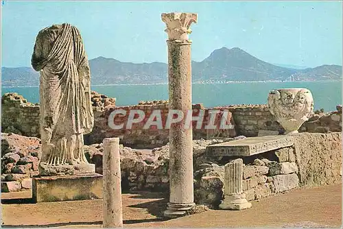 Moderne Karte Carthage Antiquarium