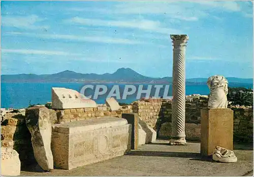 Cartes postales moderne Carthage Antiquarium