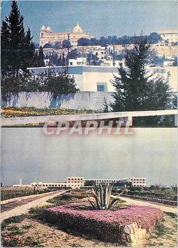 Cartes postales moderne Carthago HOtel Tanfous Hammamet Tunisie