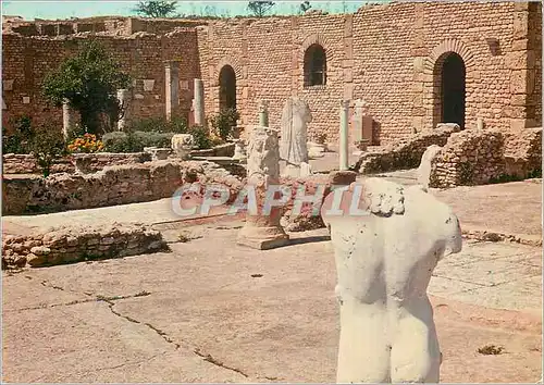 Cartes postales moderne Carthage Antiquarium Tunisie