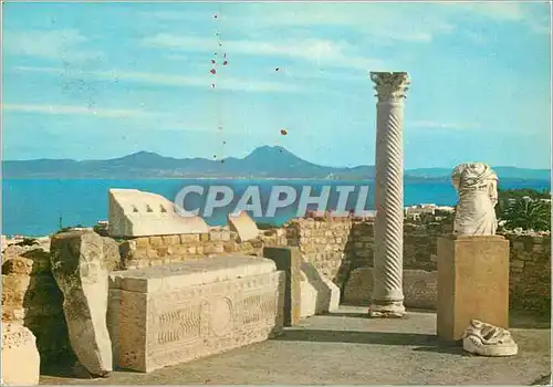 Cartes postales moderne Carthage Antiquarium
