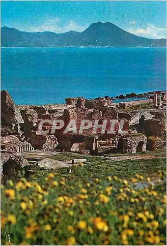 Cartes postales moderne Carthage Themes d'Antonin