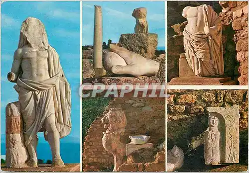 Cartes postales moderne Carthage Antiquarium