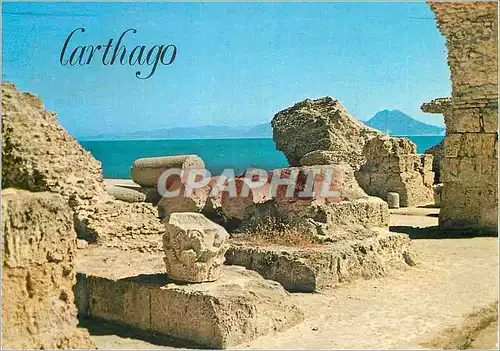 Cartes postales moderne Carthage les Themes d'Action Tunisie