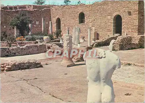 Moderne Karte Carthage Tunisie l'Antiquarium