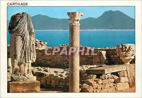 Cartes postales moderne Carthage l'Antiquarium