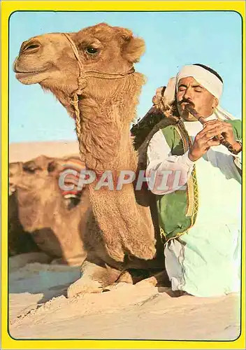 Moderne Karte Tunisie Melocamel