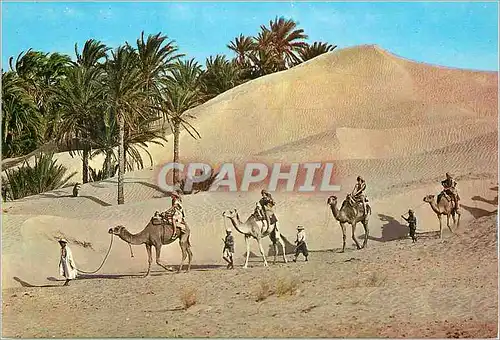 Cartes postales moderne Tunisie Caravane du Sahara