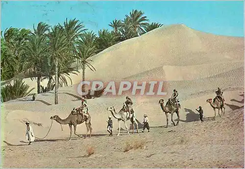 Cartes postales moderne Tunisie Caravane du Sahara