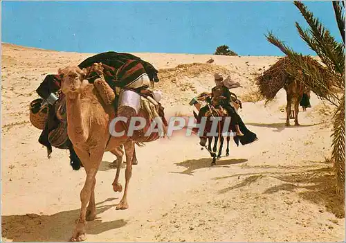 Moderne Karte Sud Tunisien Nomades