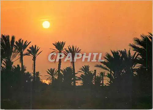 Cartes postales moderne IIeS Kerkennah Tunisie Coucher de Soleilil