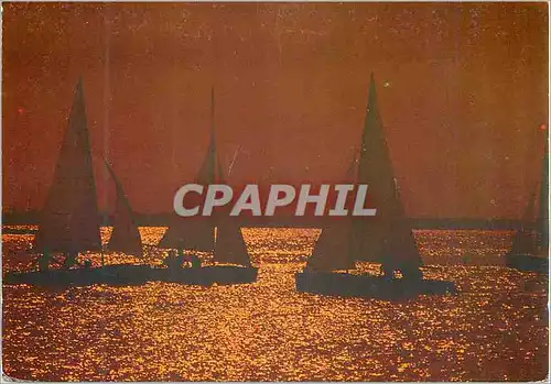 Cartes postales moderne Tunisie Regates au Coucher du Soleil