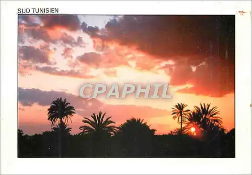 Cartes postales moderne Sud Tunisien Coucher du Soleil
