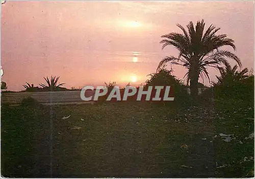 Cartes postales moderne Sud Tunisien Coucher du Soleil