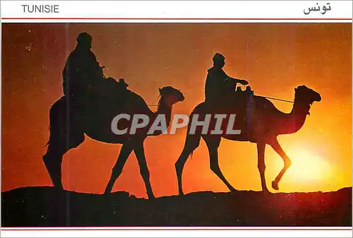 Cartes postales moderne Tunisie Retour du Sahara
