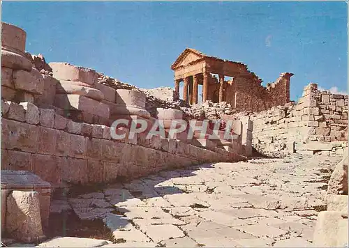 Cartes postales moderne Dougga Tunisie