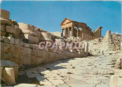 Cartes postales moderne Dougga Tunisie