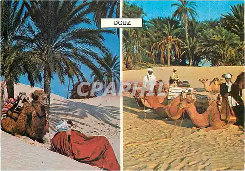 Cartes postales moderne Douz (Tunisie)