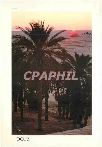 Cartes postales moderne Charmes et Douceur de Tunisie Soleil levant sur douz