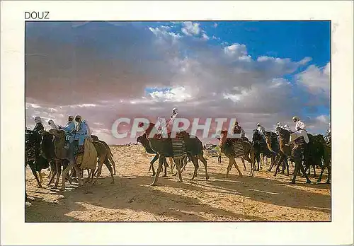 Cartes postales moderne Douz Pendant le Festival