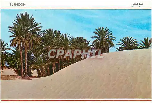 Cartes postales moderne Douz Sahara Tunisie