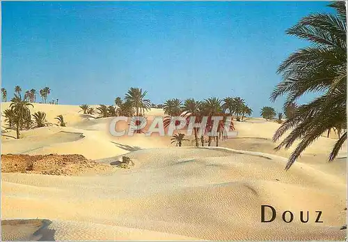 Cartes postales moderne Douz Tunisie
