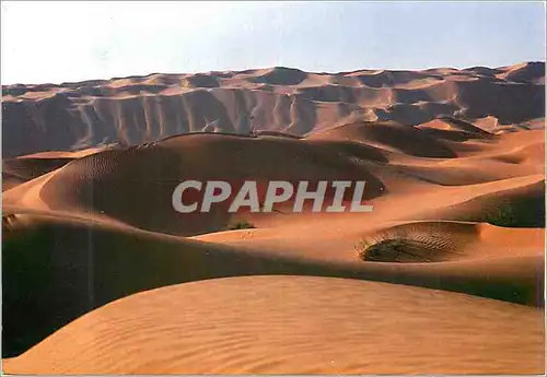 Cartes postales moderne Sahara de Douz Sud Tunisien
