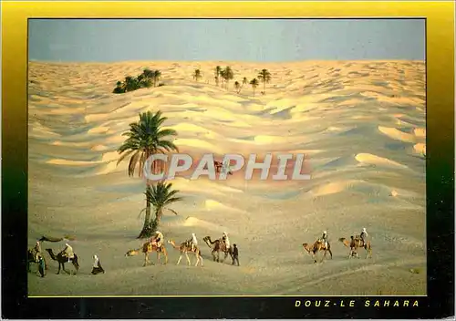 Cartes postales moderne Douz Sud Tunisien