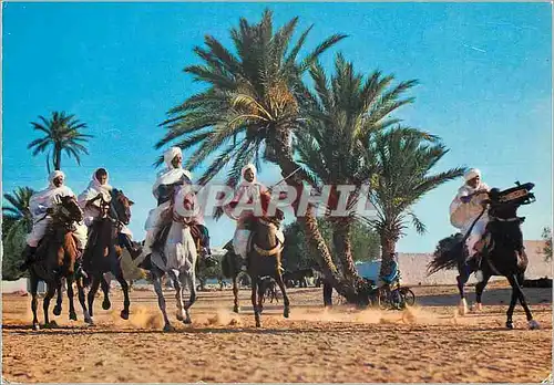 Cartes postales moderne Tunisie Fantasie