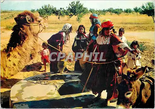 Cartes postales moderne Tunisie Scenes et Types Autour du Puits