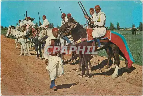 Cartes postales moderne Tunisie Cavaliers Zlass