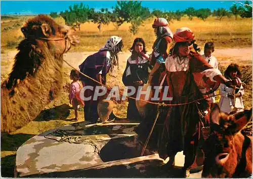 Cartes postales moderne Tunisie Scenes et Types Autour du Puits